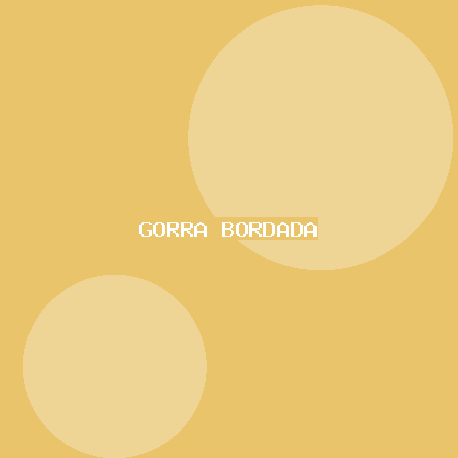 Gorra bordada